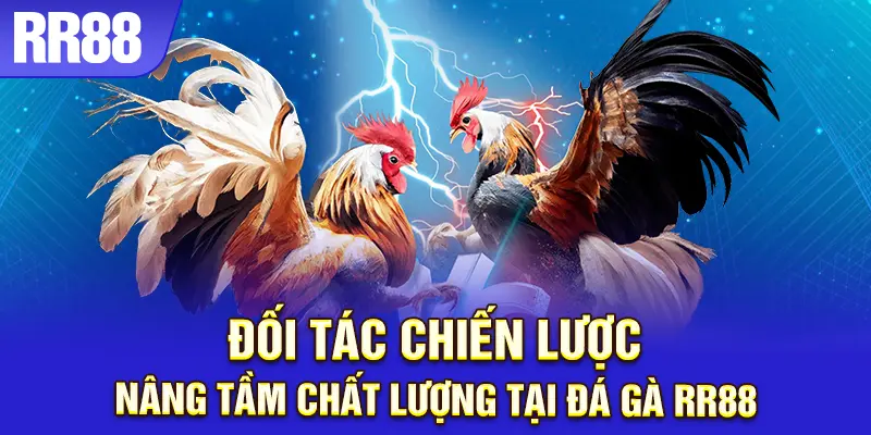 Đối tác uy tín, cược an tâm cùng RR88