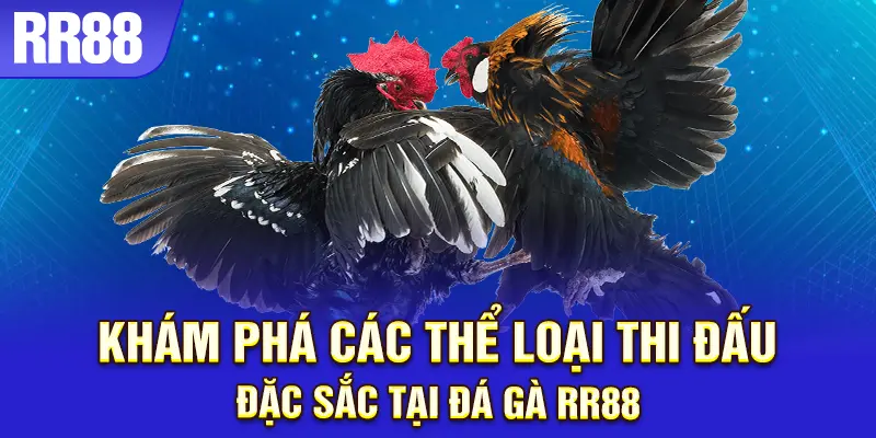 Chọn thể loại đá gà, thỏa đam mê chiến đấu